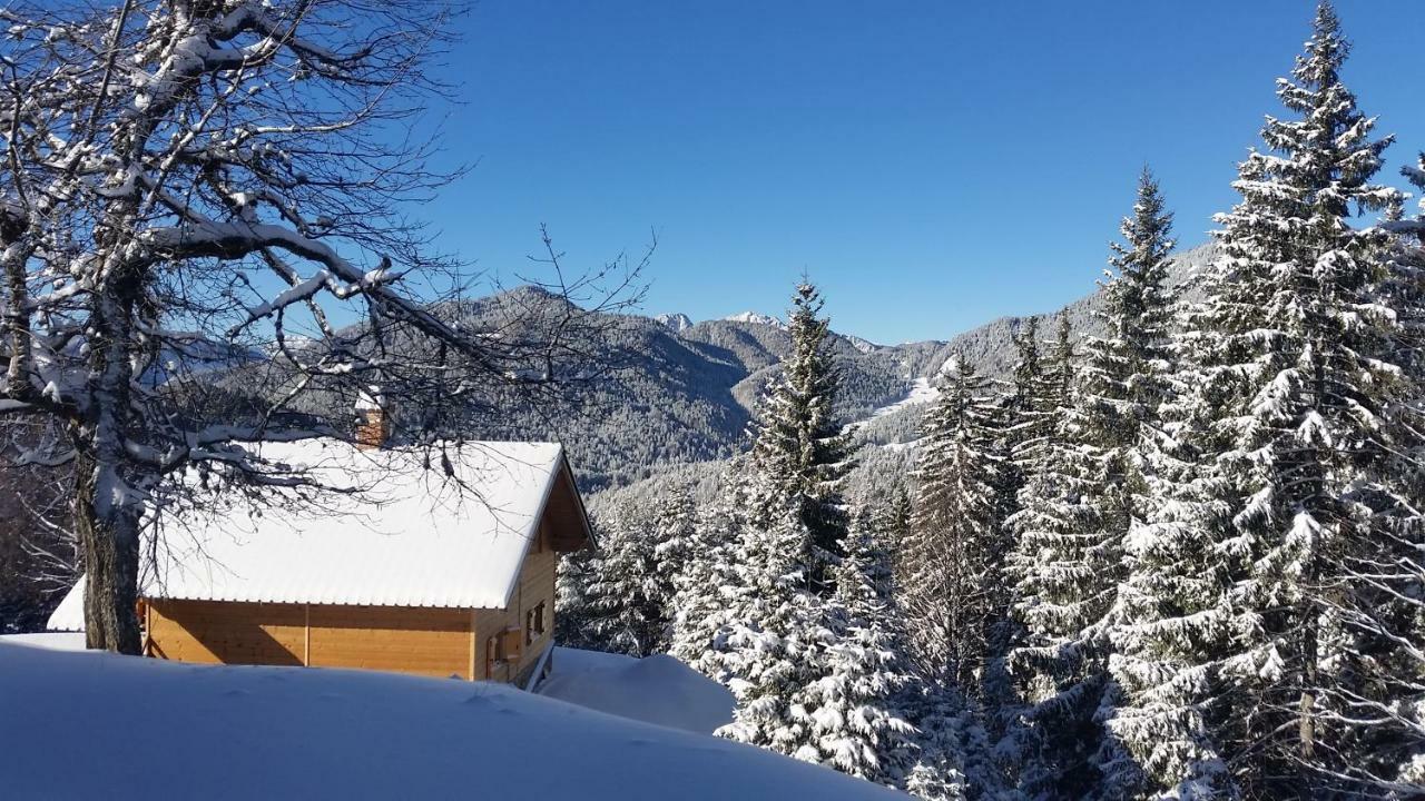 Agriturismo Gacceman Villa Ugovizza Bagian luar foto
